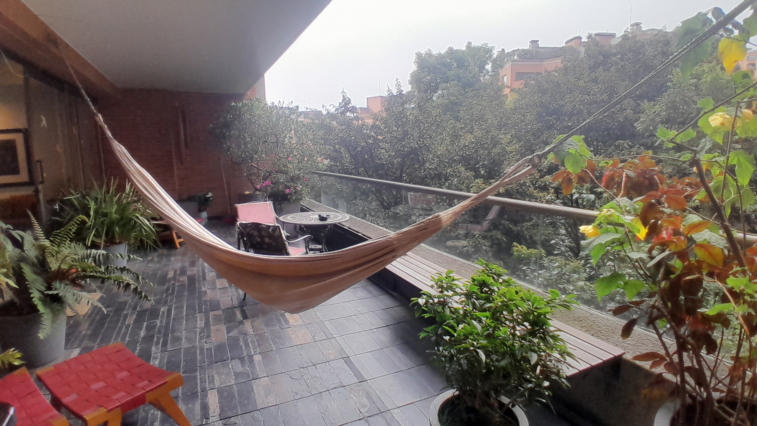 20260326_150743 - copia.jpg